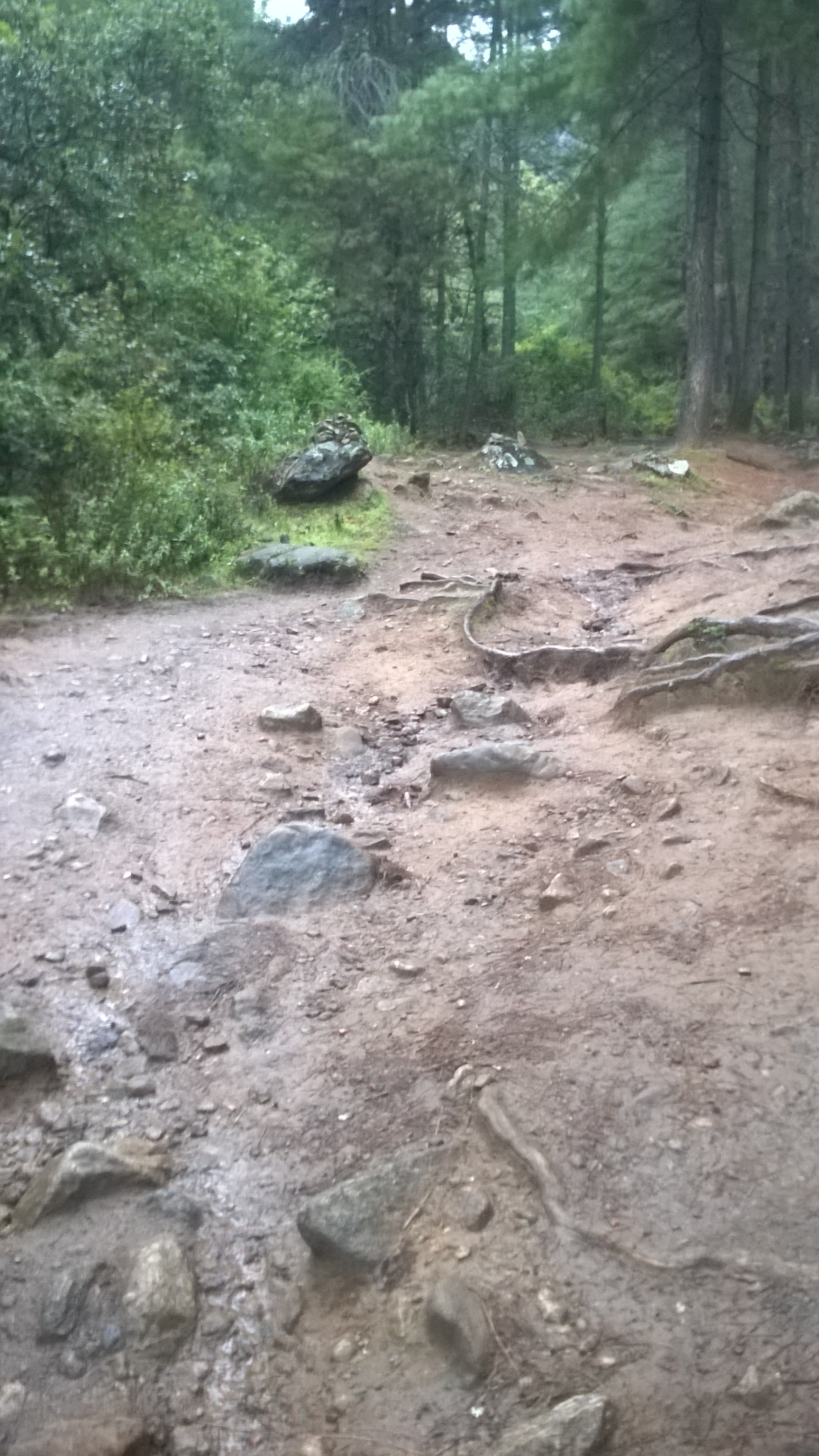 At the bottom of the tricky slope